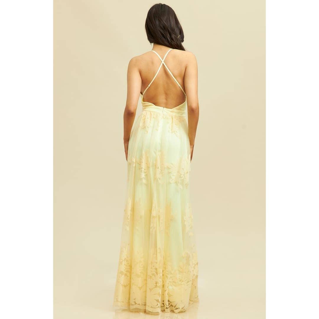 Floral Criss Cross Sheer Maxi Dress