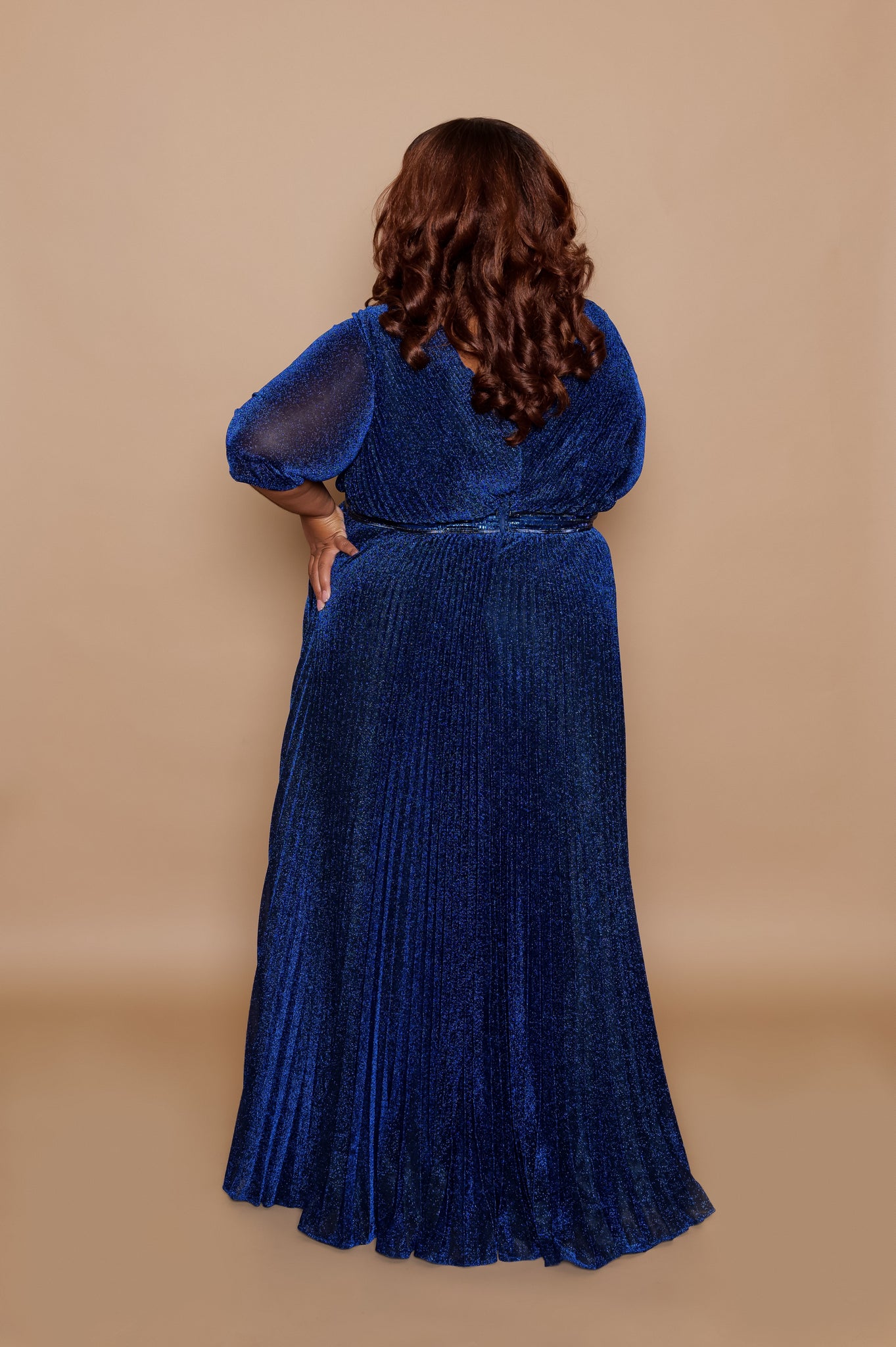 'Audrey' Glitter Pleated Gown- Navy Back