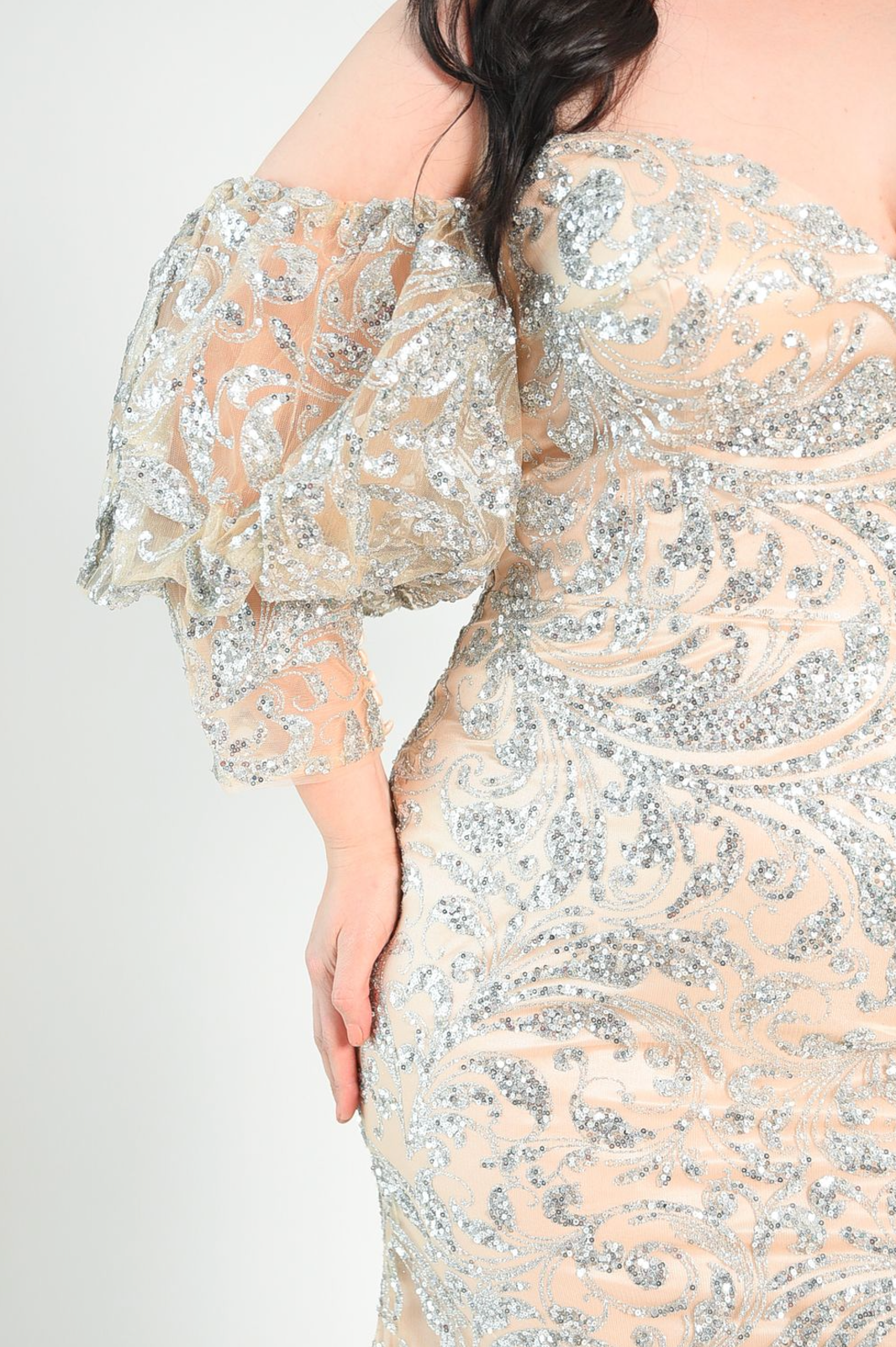 Classic formal gown with an elegant glitter sequin pattern. Plain zipper back. Sleeves are removeable for another look. 
