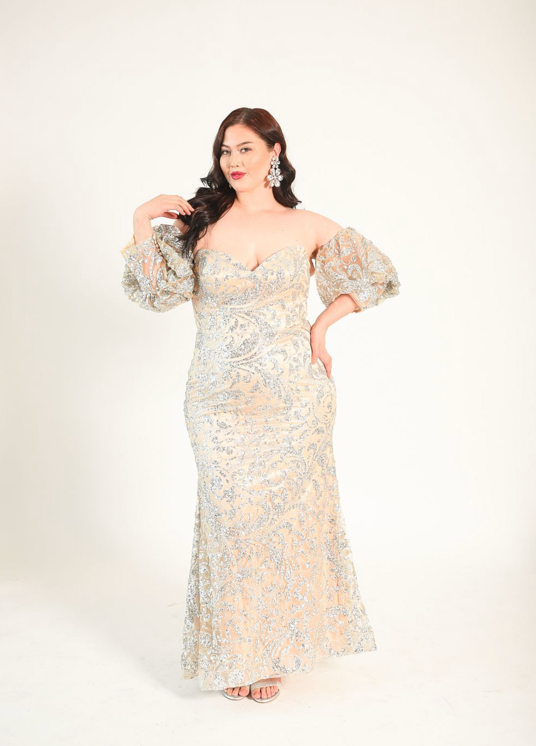 Classic formal gown with an elegant glitter sequin pattern. Plain zipper back. Sleeves are removeable for another look. 