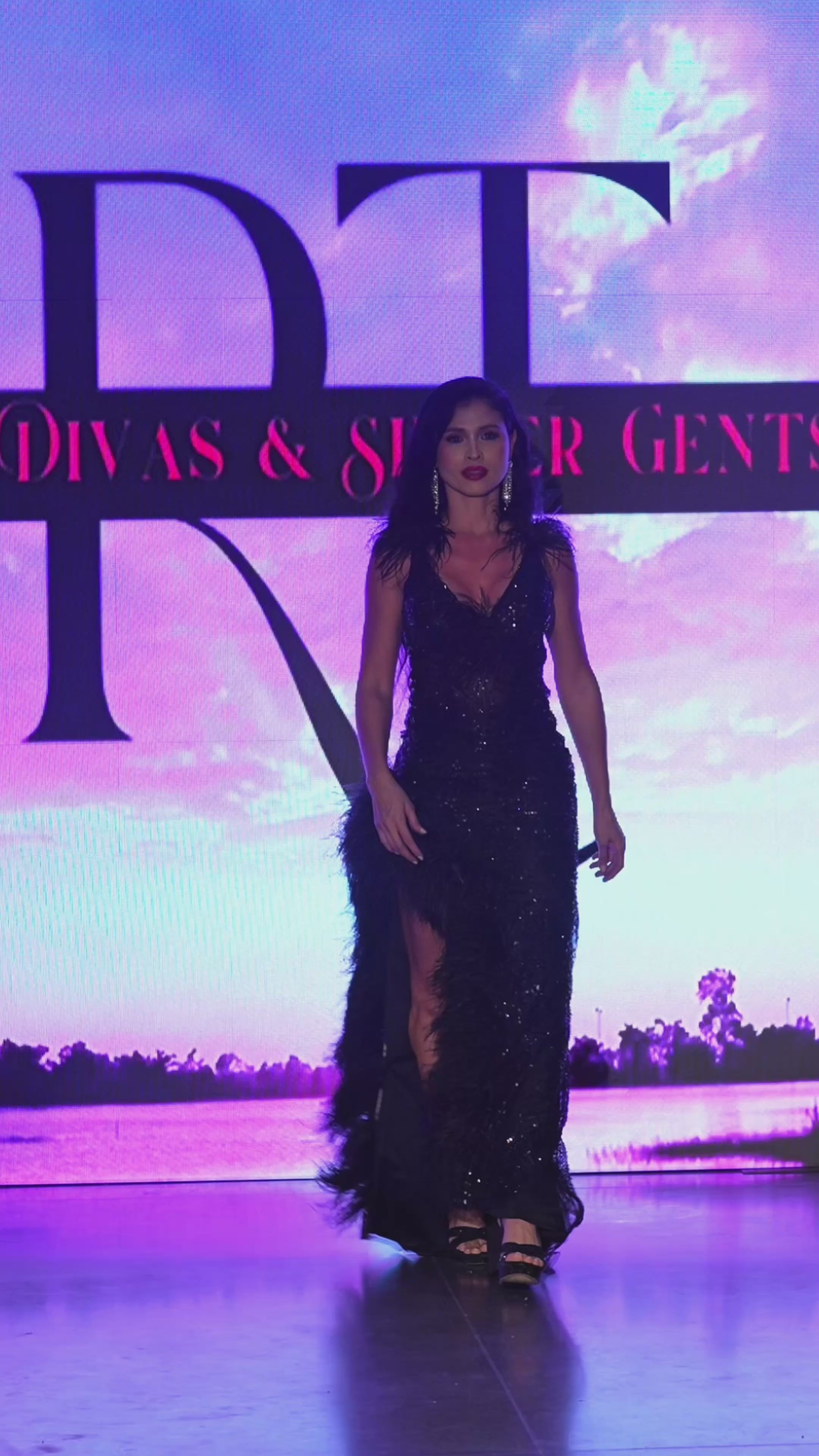 Black Feather Sheer Embellished Gown